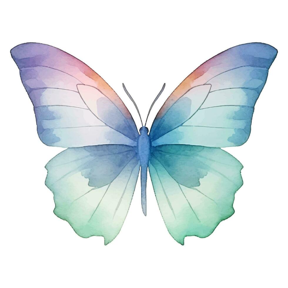 Watercolor exotic butterfly. Vector illustration with hand drawn butterfly, moth. Clip art image.