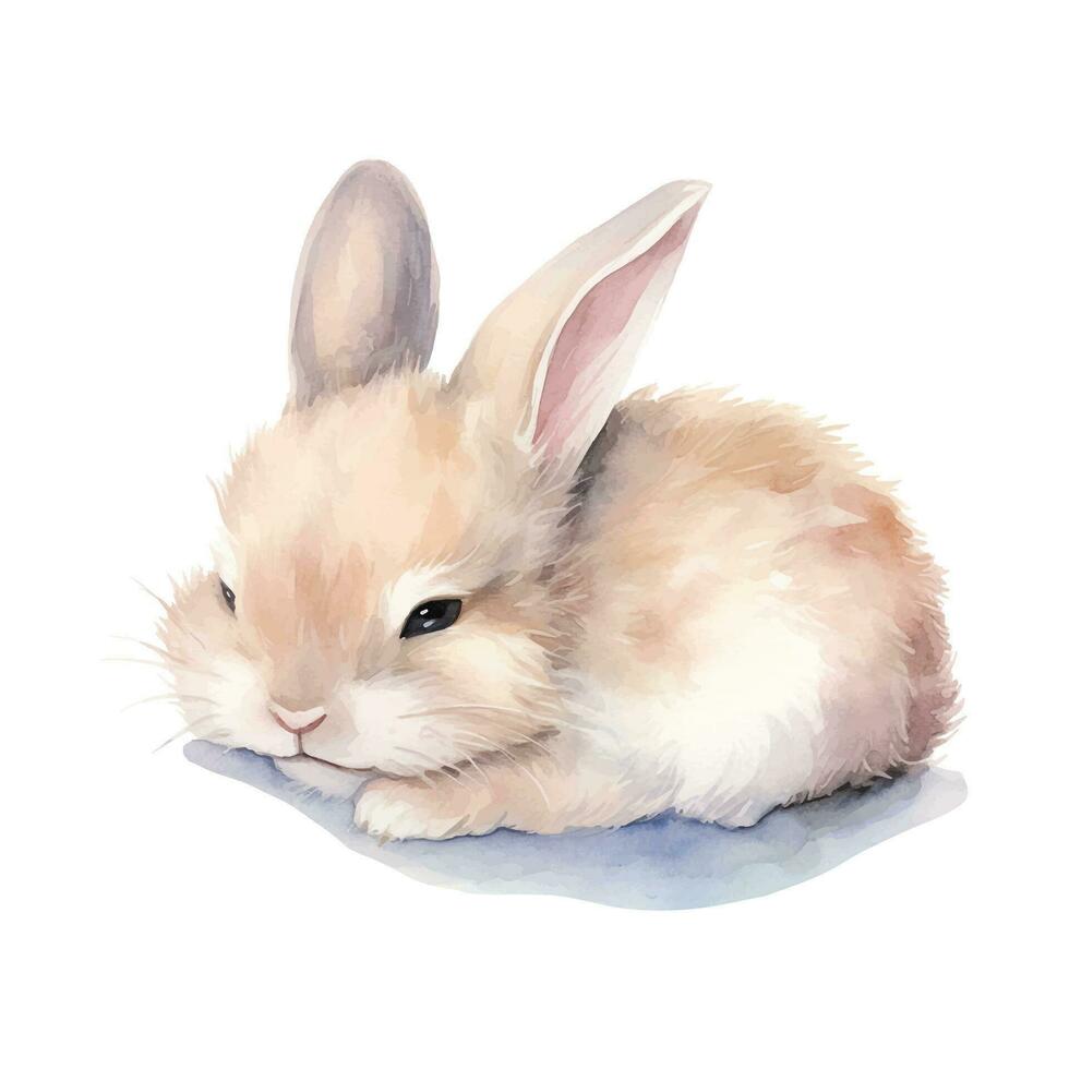 Watercolor bunny. Vector illustration with hand drawn rabbit, easter bunny. Clip art image.