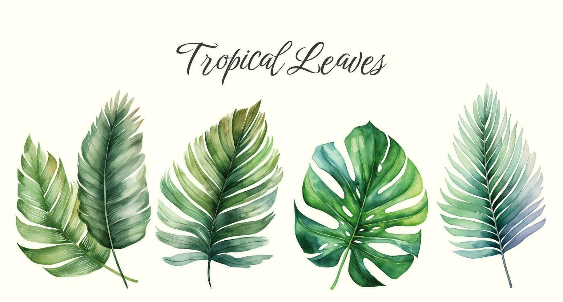 Tropical vector leaves. Watercolor floral illustration. Set of exotic leaves. Palm leaves