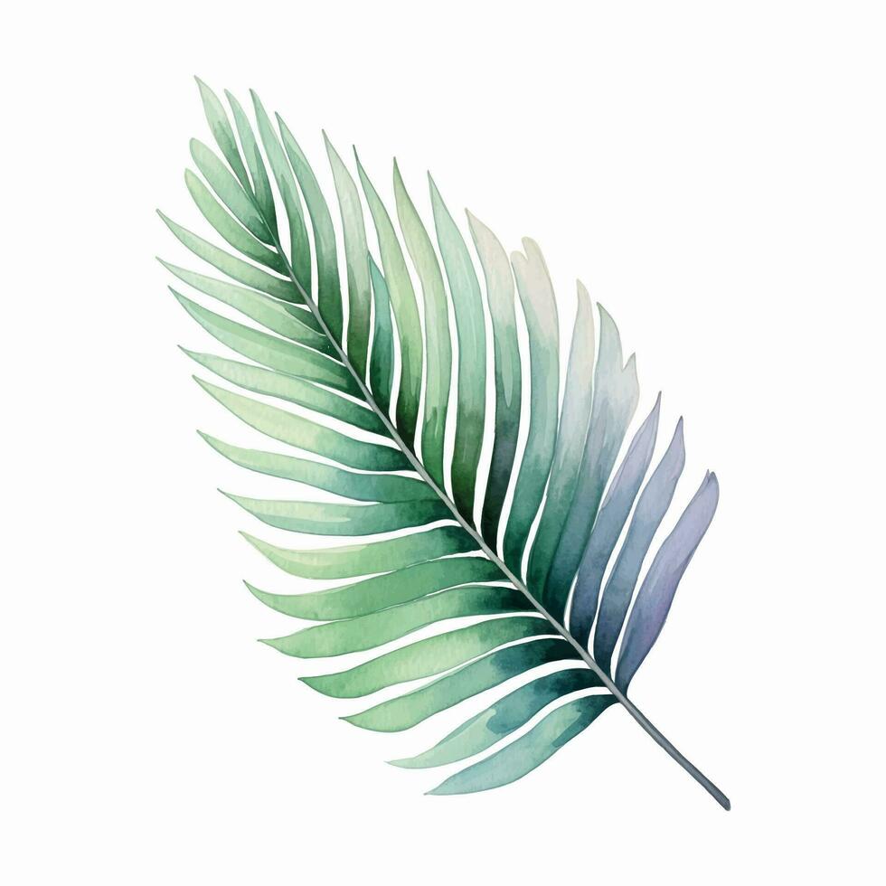 Watercolor tropical leaf. Vector leaf. Exotic foliage, wild floral.