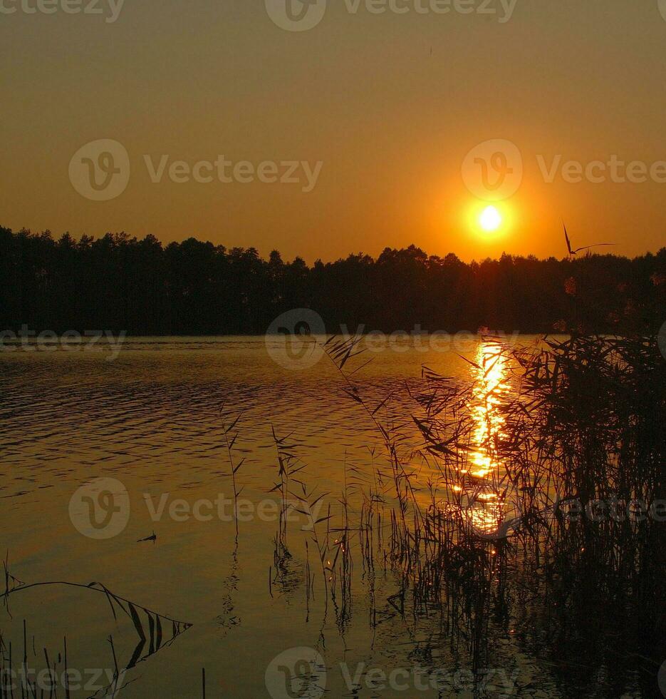 sunset on lake photo