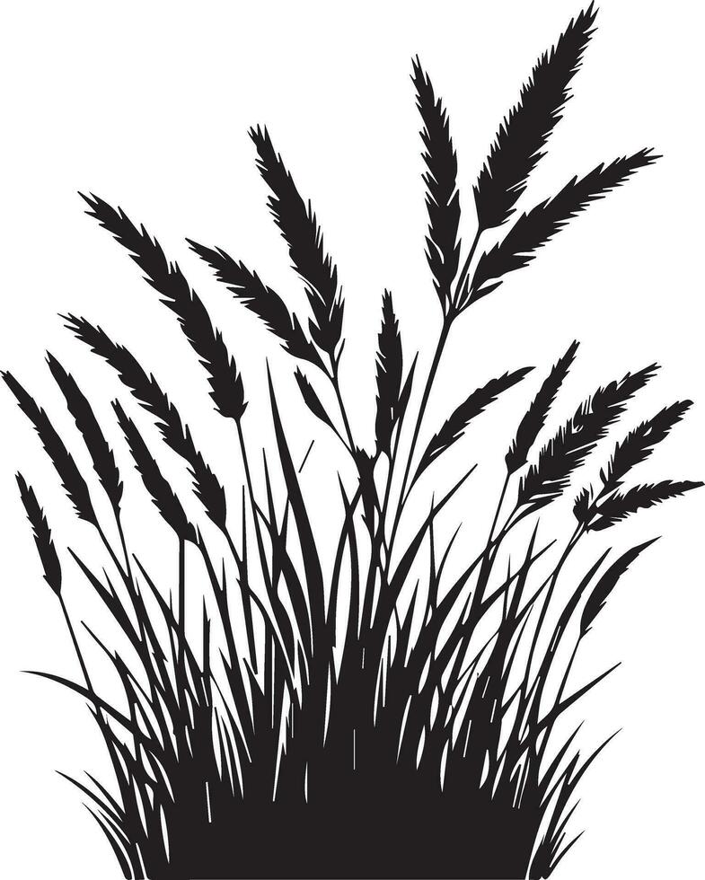 Grass vector silhouette illustration 4