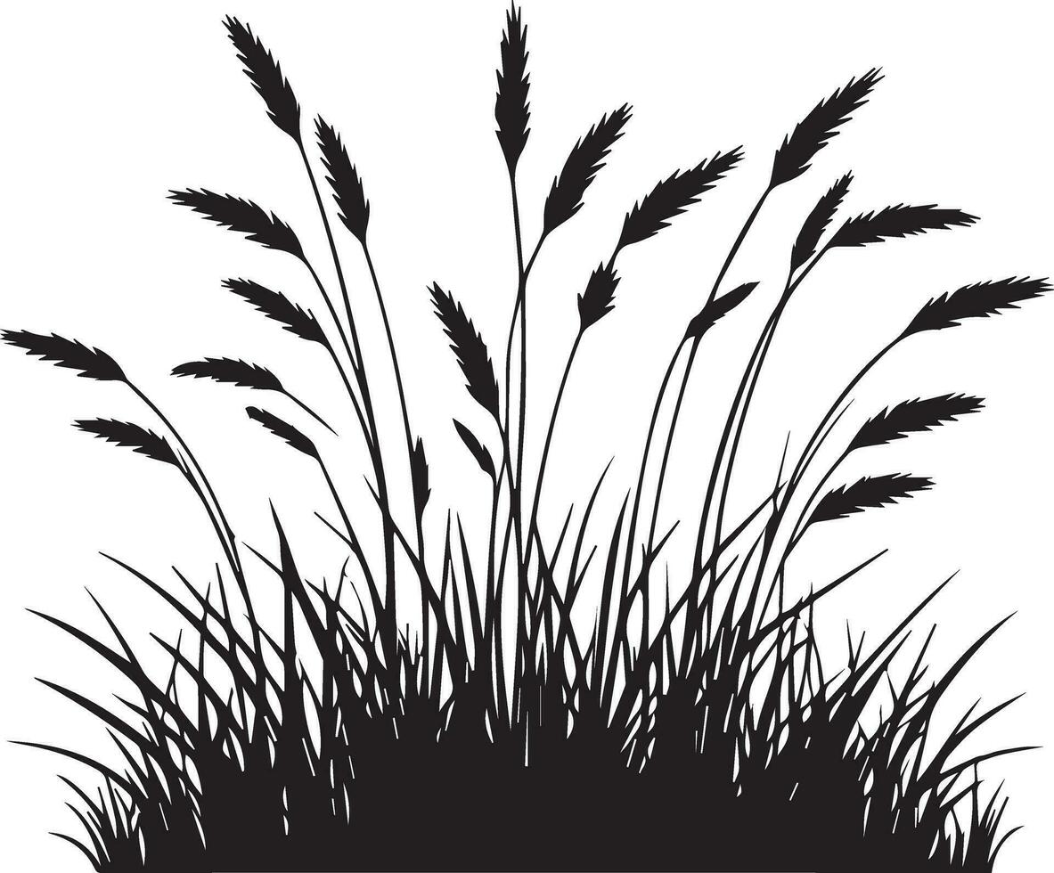 Grass vector silhouette illustration 3
