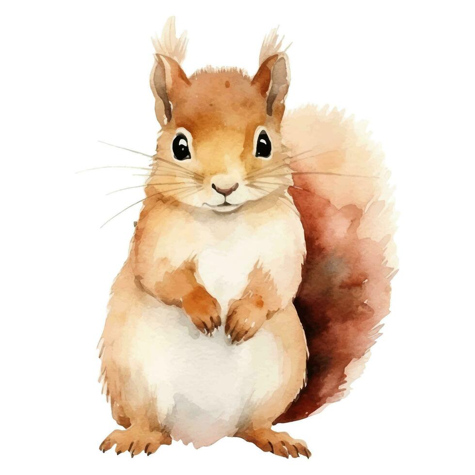 Watercolor squirrel. Vector illustration with hand drawn squirrel. Clip art image.