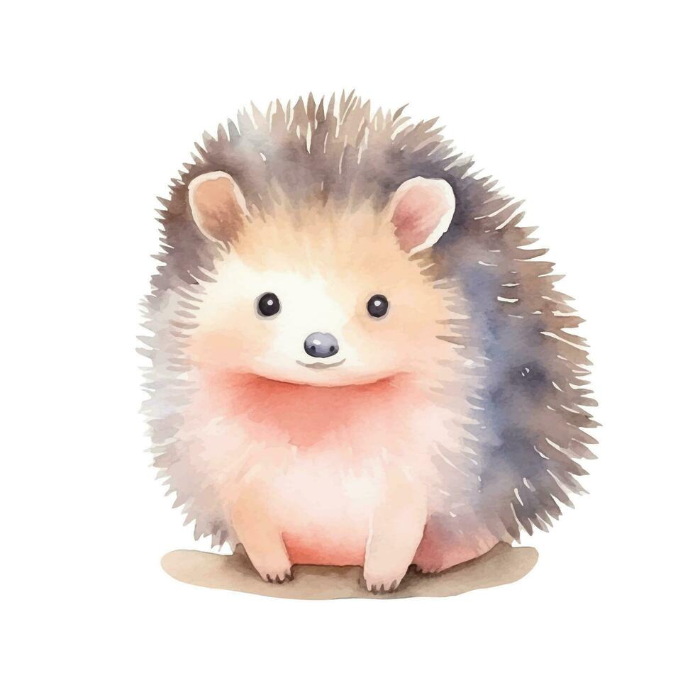 Watercolor hedgehog in pastel colors. Vector hand drawn hedgehog. Isolated hedgehog.