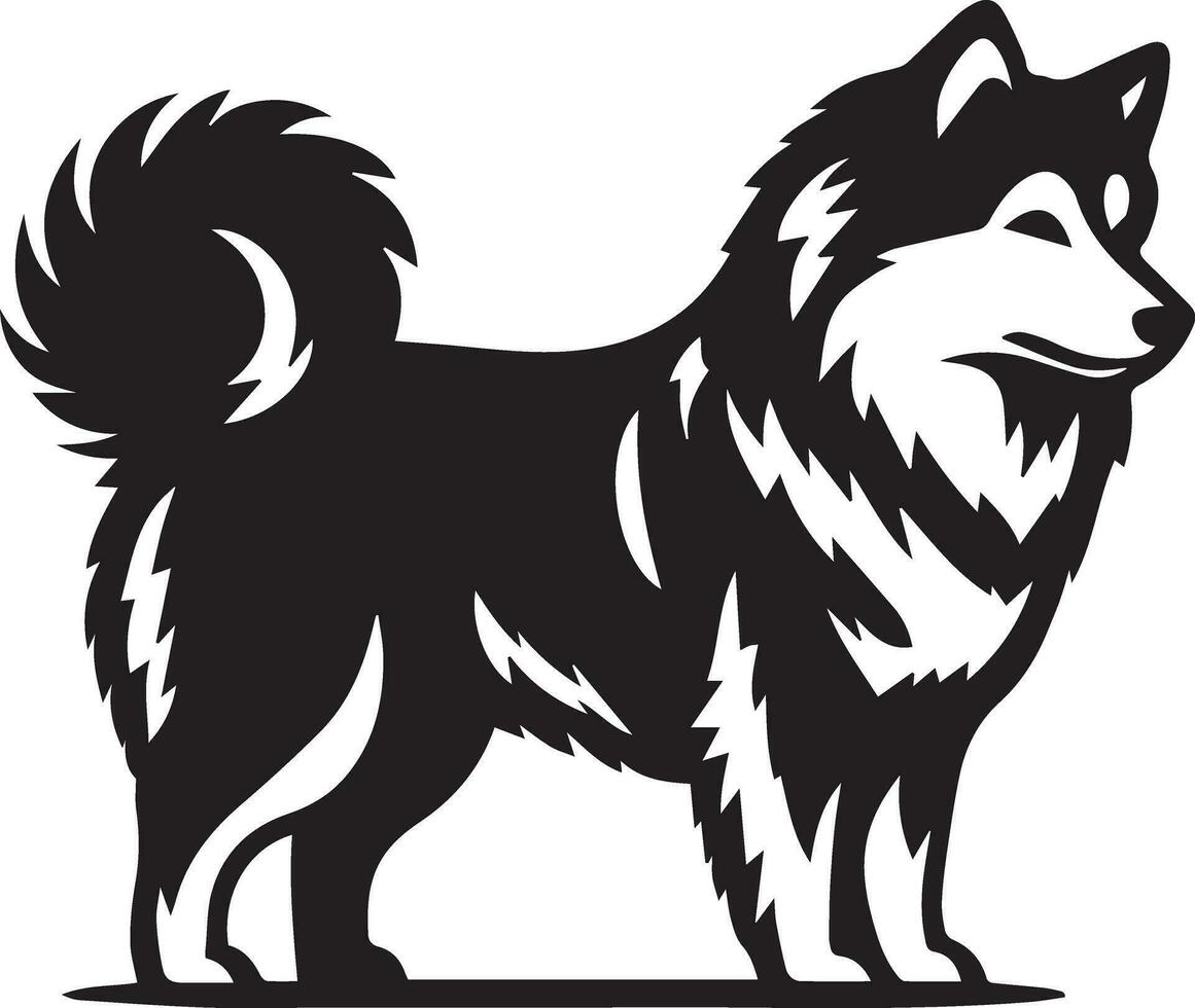 Yakutian Laika vector silhouette illustration black color 4