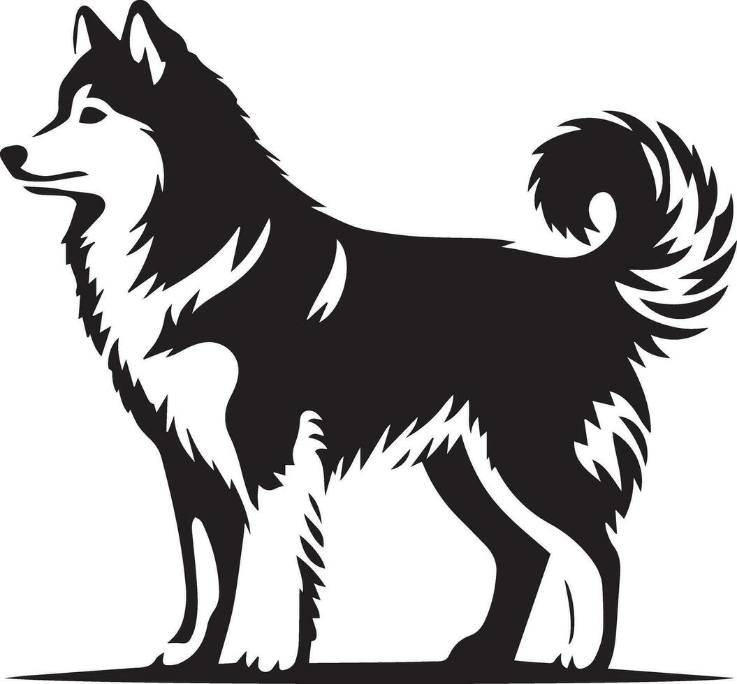 Yakutian Laika vector silhouette illustration black color 13