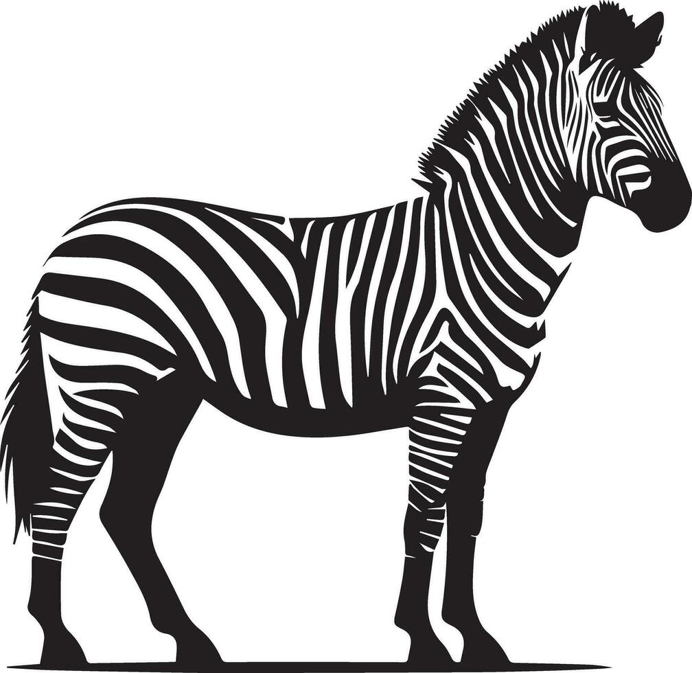 Zebra animal vector silhouette 5