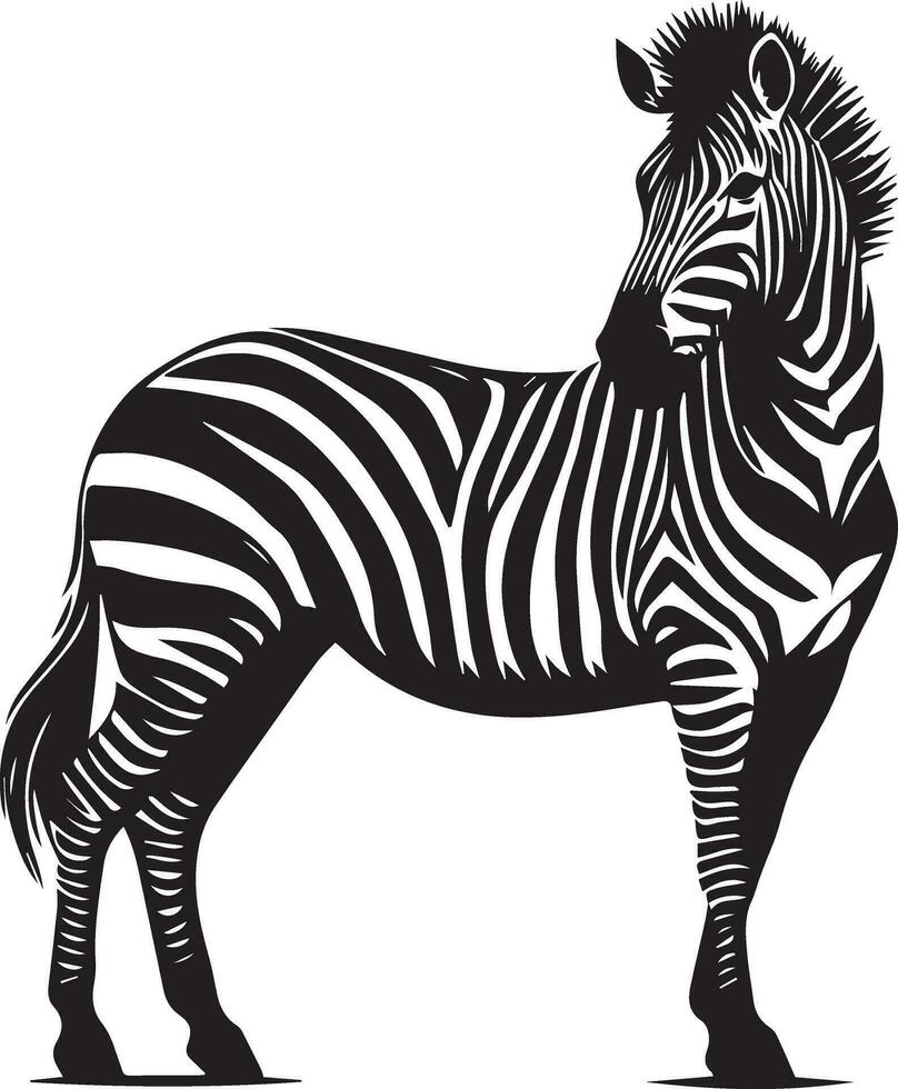 Zebra animal vector silhouette 7