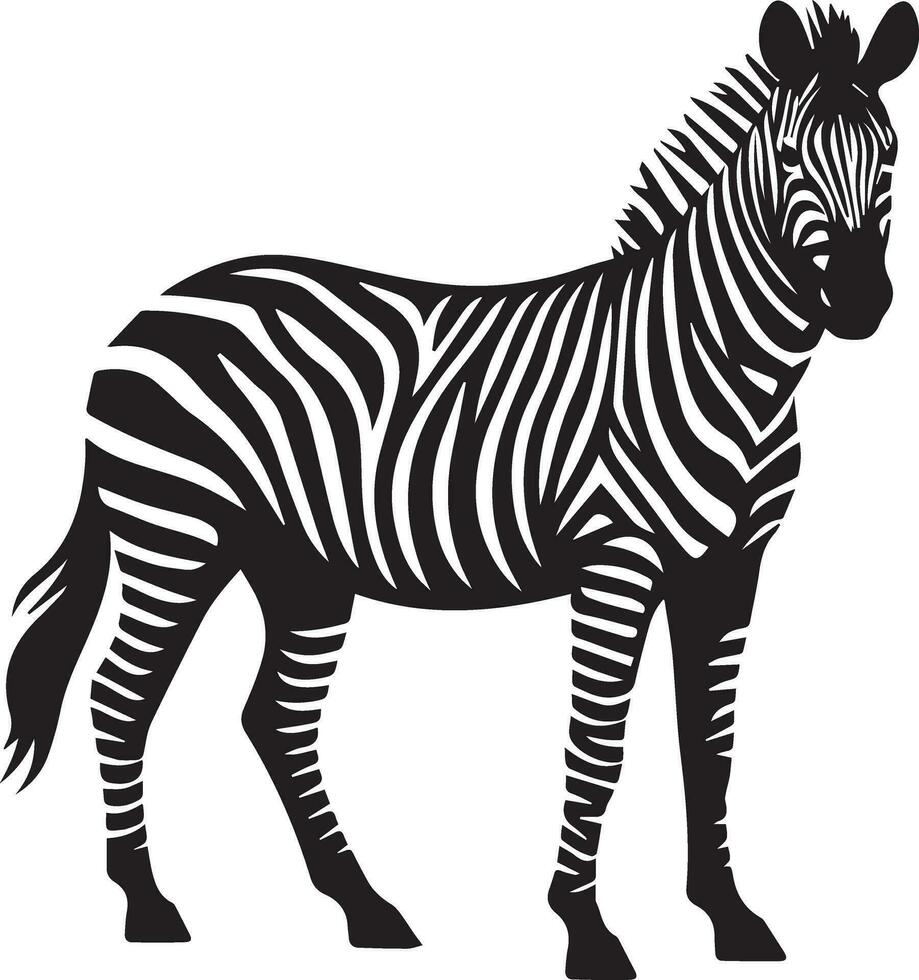 Zebra animal vector silhouette 15