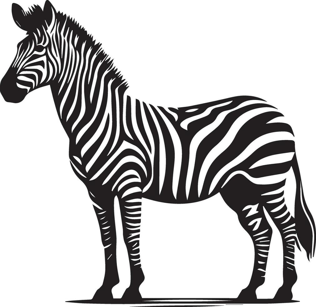 Zebra animal vector silhouette 10