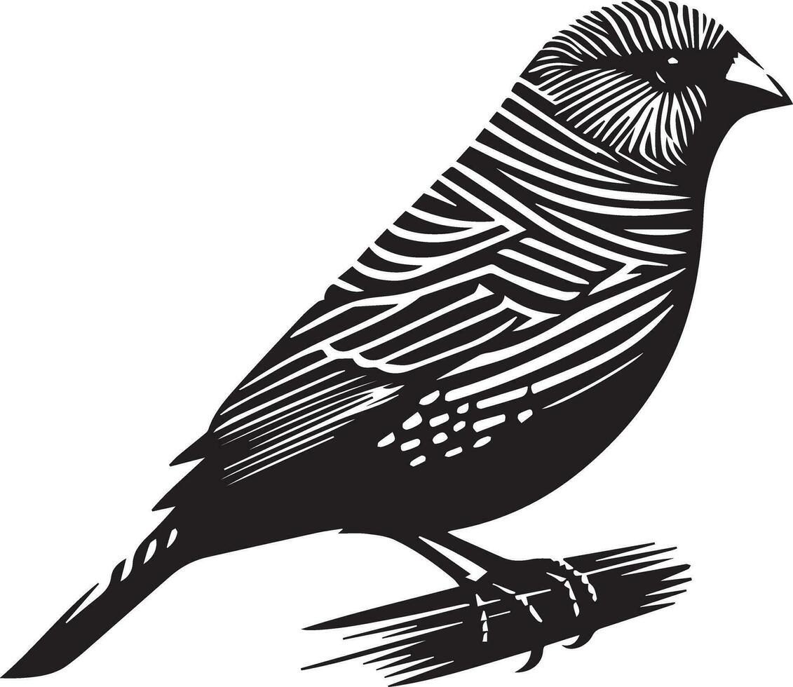 Zebra Finch bird vector silhouette 2