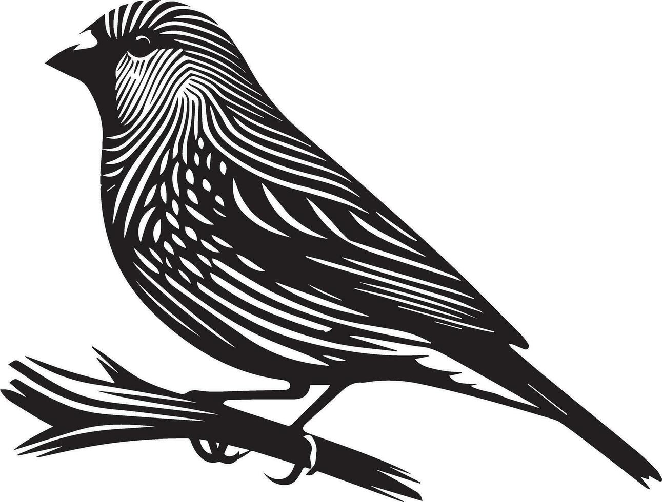 Zebra Finch bird vector silhouette 11