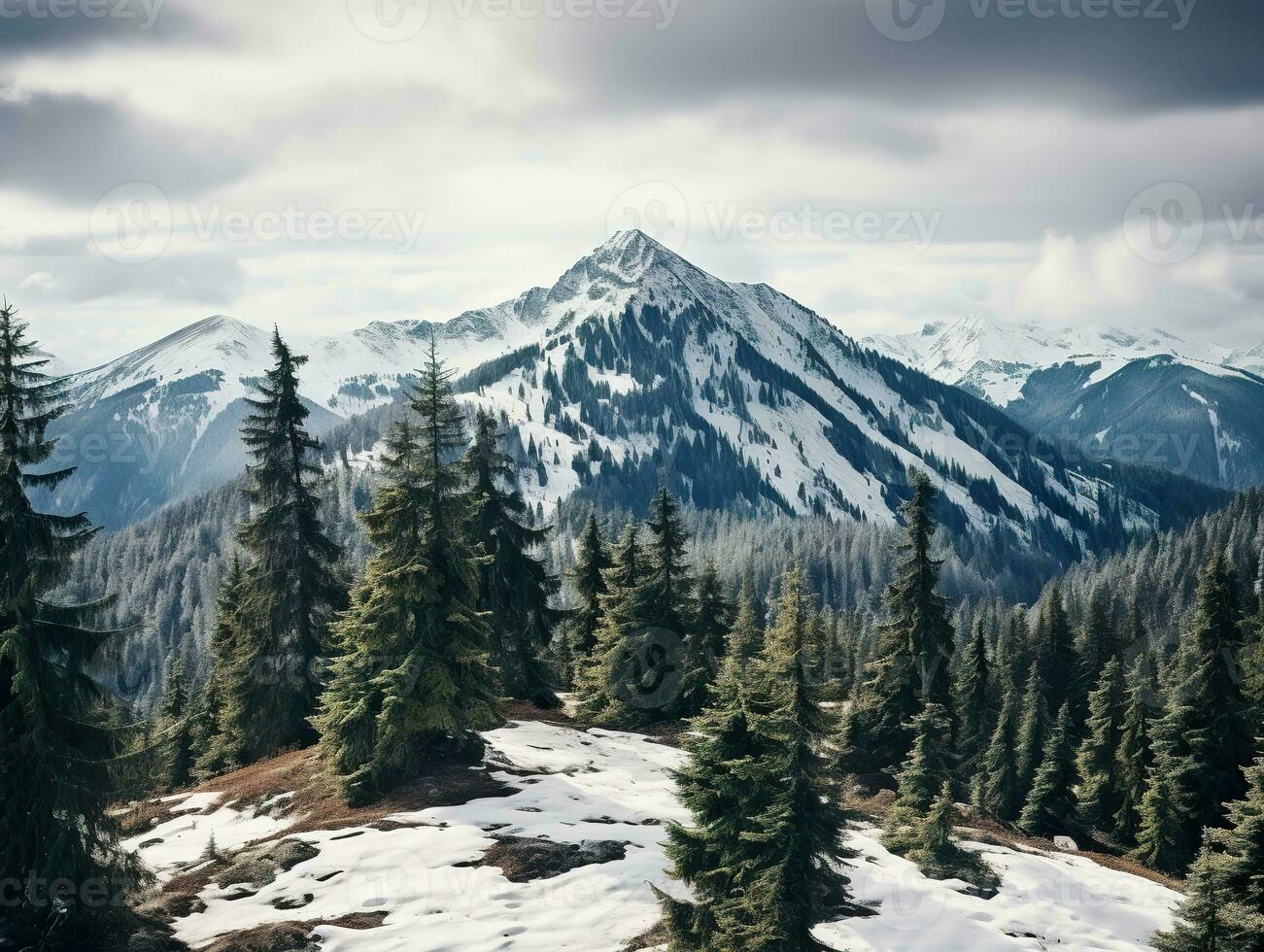 Pine trees on snow covered mountain Magical winter forest. Natural landscape with beautiful sky photo