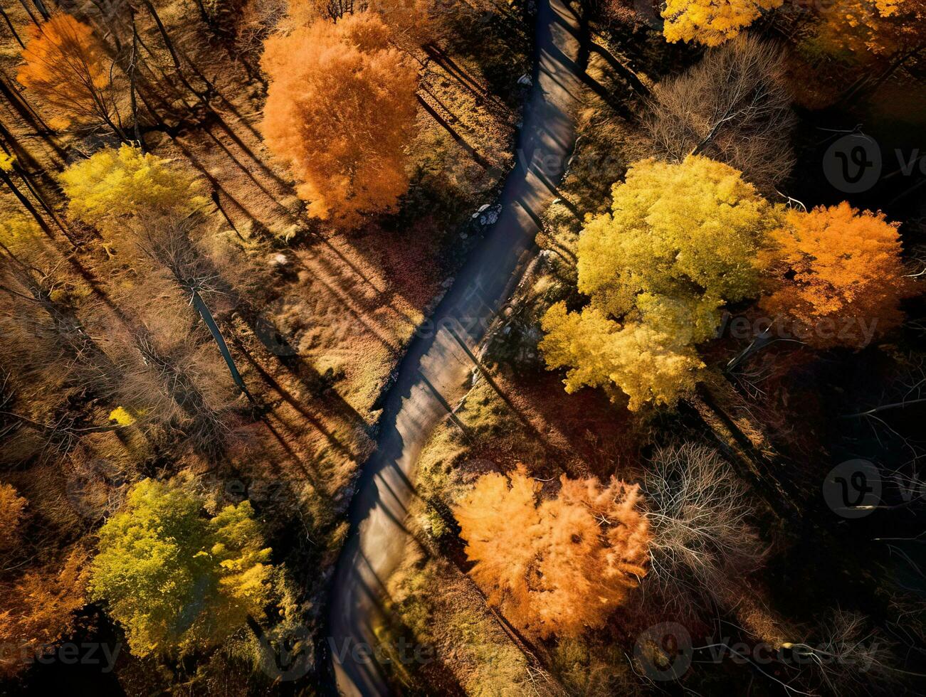 From above drone view of path in the middle of picturesque autumn forest with colorful trees photo