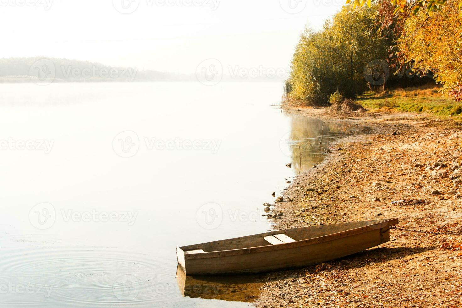 Morning landscape in autumn country and with fog in Ukraine. Beautiful nature with yellow trees and fog. photo