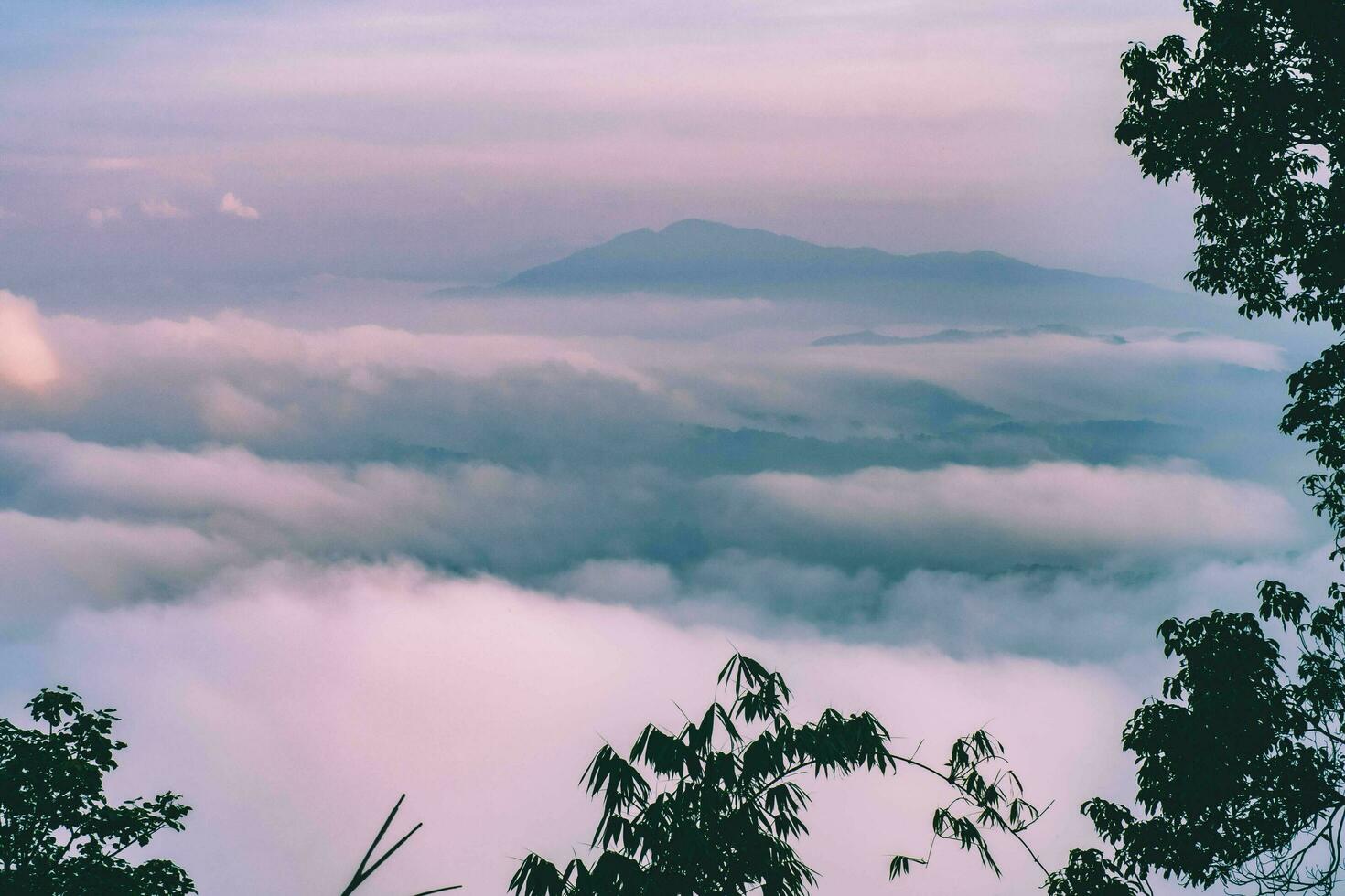 The stunning view from a tourist's standpoint as they go down a hill on a foggy trail with a hill and a background of a golden sky in Forest Park, Thailand. Bird's eye view. Aerial view. photo