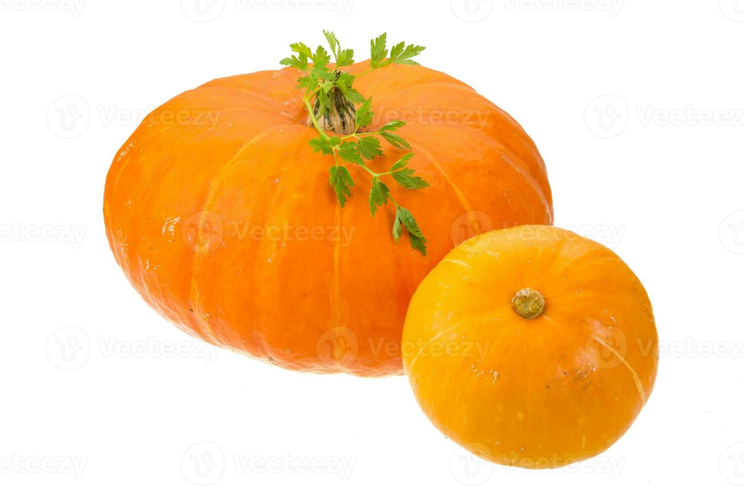 Ripe pumpkin isolated photo