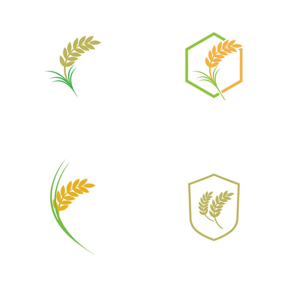rice logo and symbol element vector