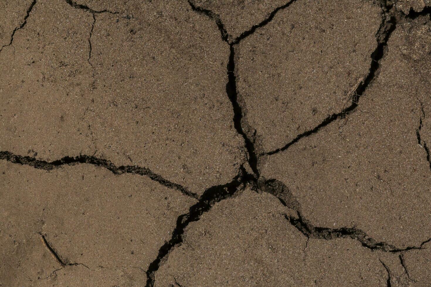 close up of dry cracked soil background photo