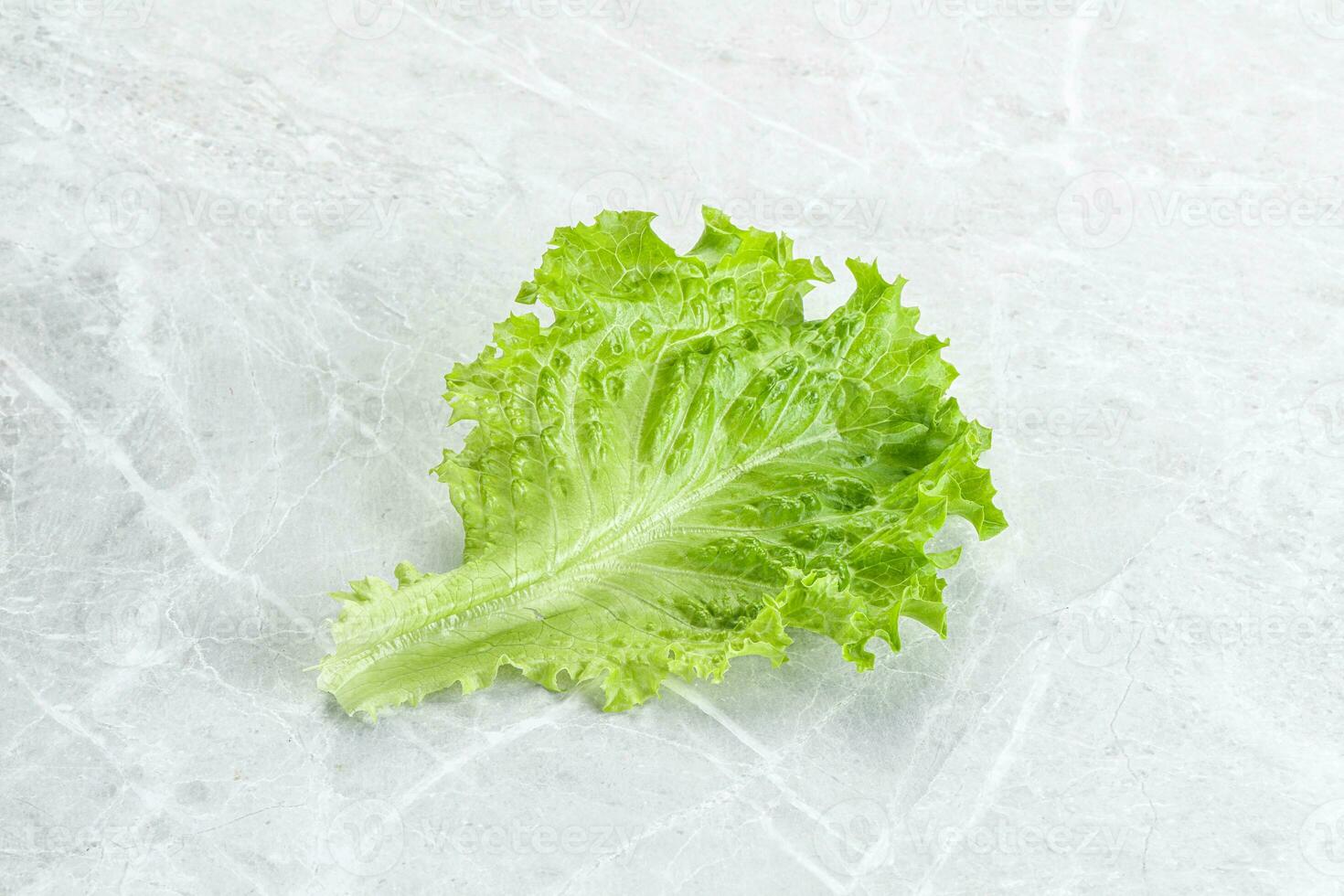 Ripe green salad lettuce leaf photo