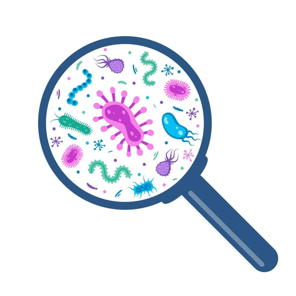 Different bacteria, pathogenic microorganisms under a magnifying glass. Bacteria and germ, microorganisms disease-causing, bacteria, bacteria, viruses, fungi, protozoa, probiotic. Vector illustration.