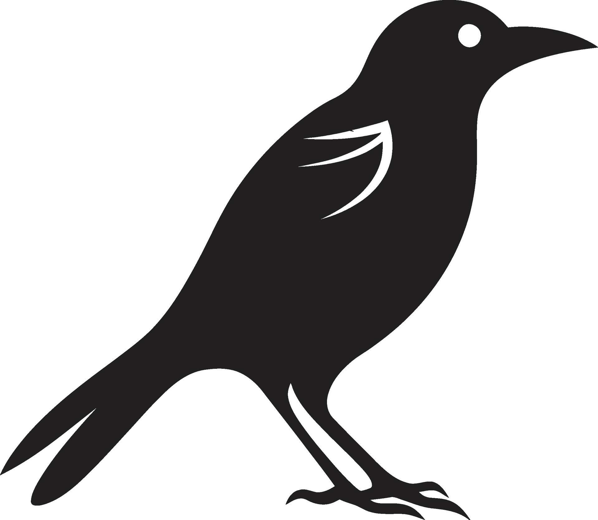 Puffin Precision Regal Peacock Logo 34061687 Vector Art at Vecteezy