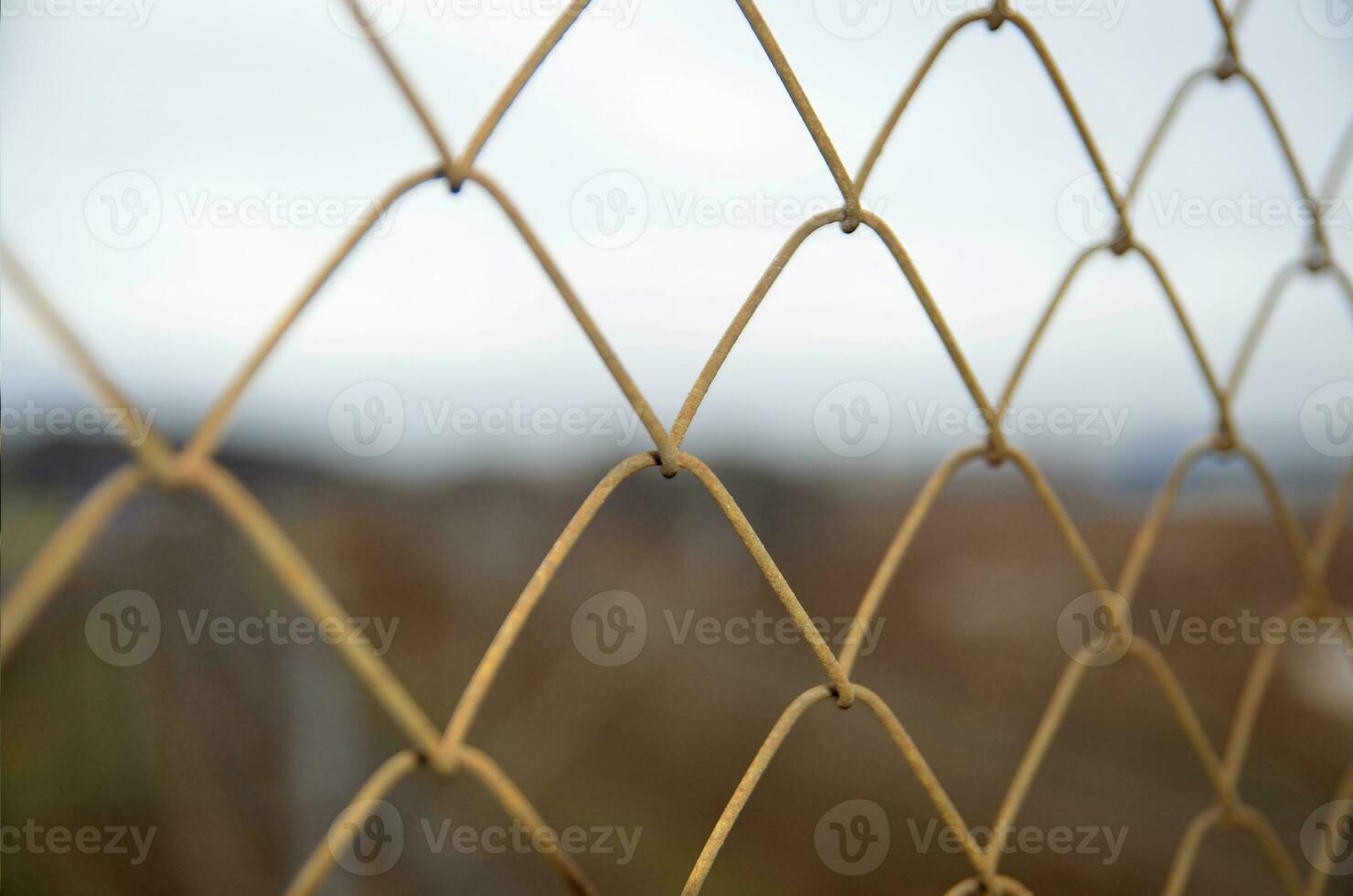 Chain link grid fence photo