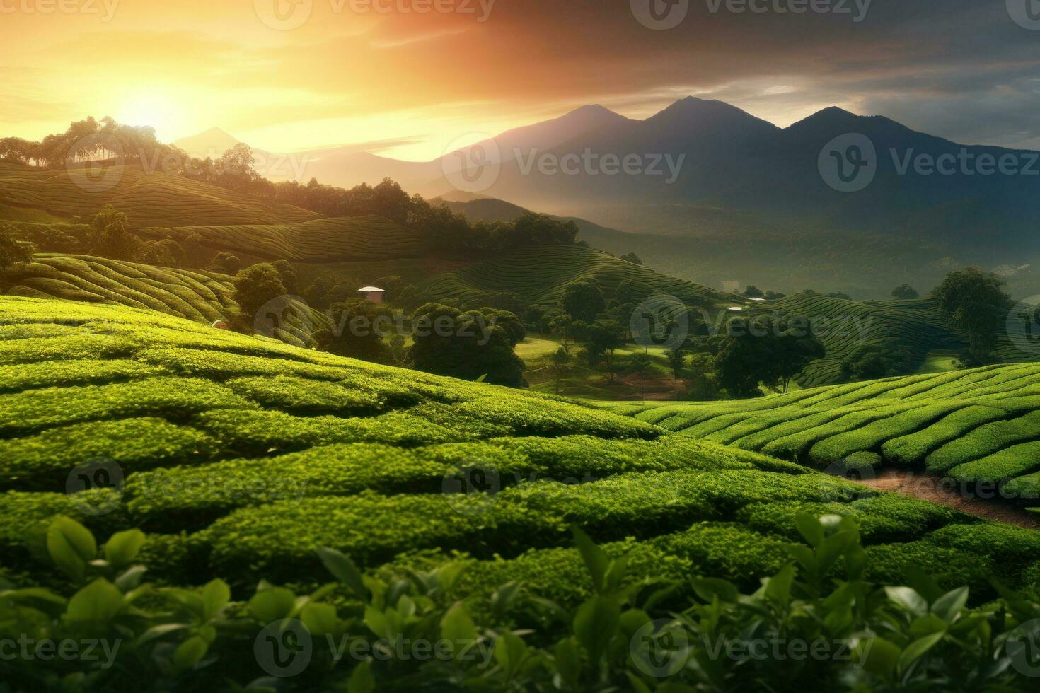 Plantation with green tea leaves. Generative AI photo