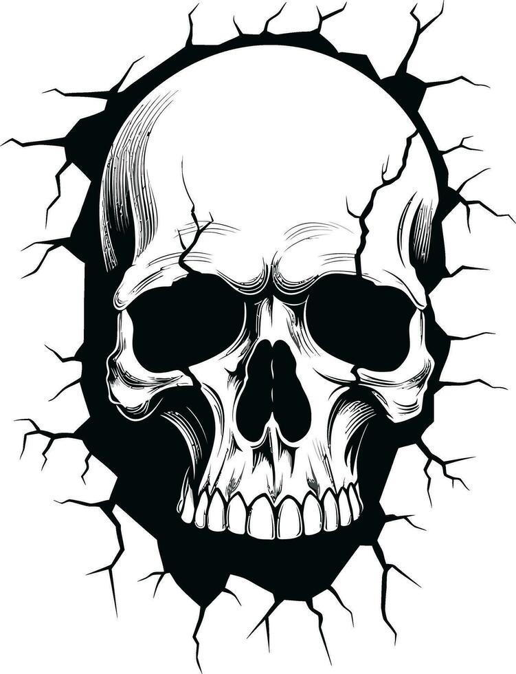 Shrouded in Mystery A Cracked Walls Cryptic Skull The Walls Enigmatic Guardian A Vector Skull Emerges