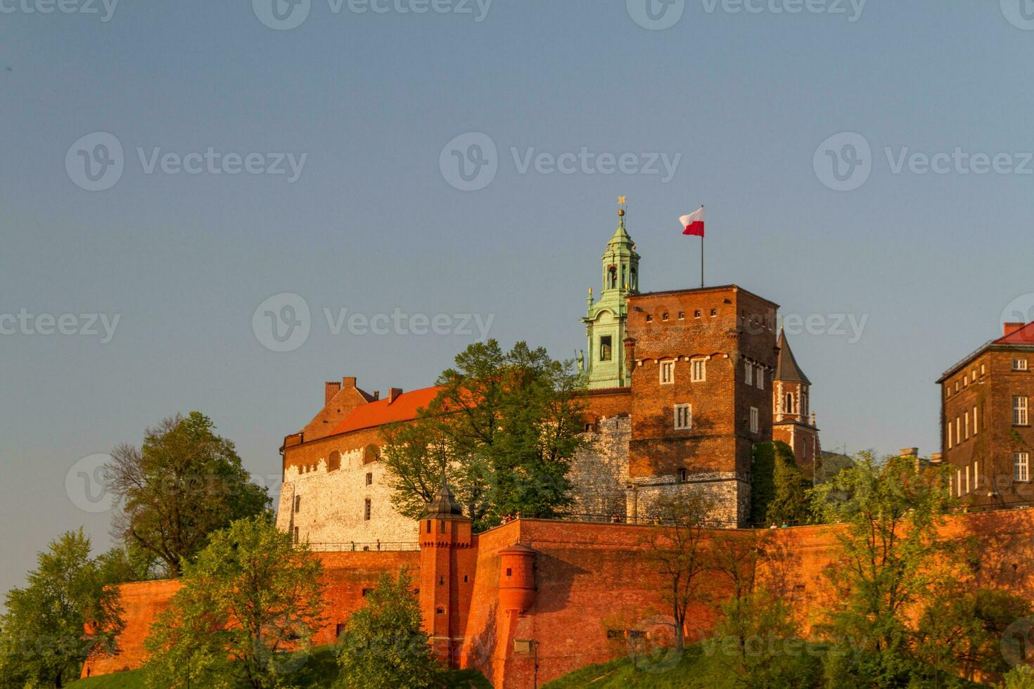 Royal castle in Wawel, Krarow photo