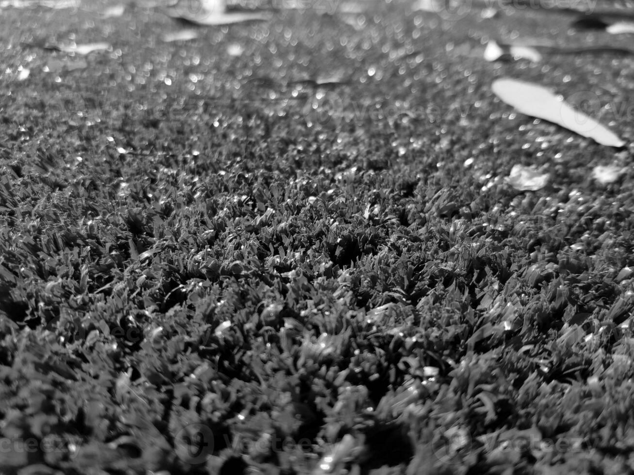 Black and white grass background close view, grayscale grass photo