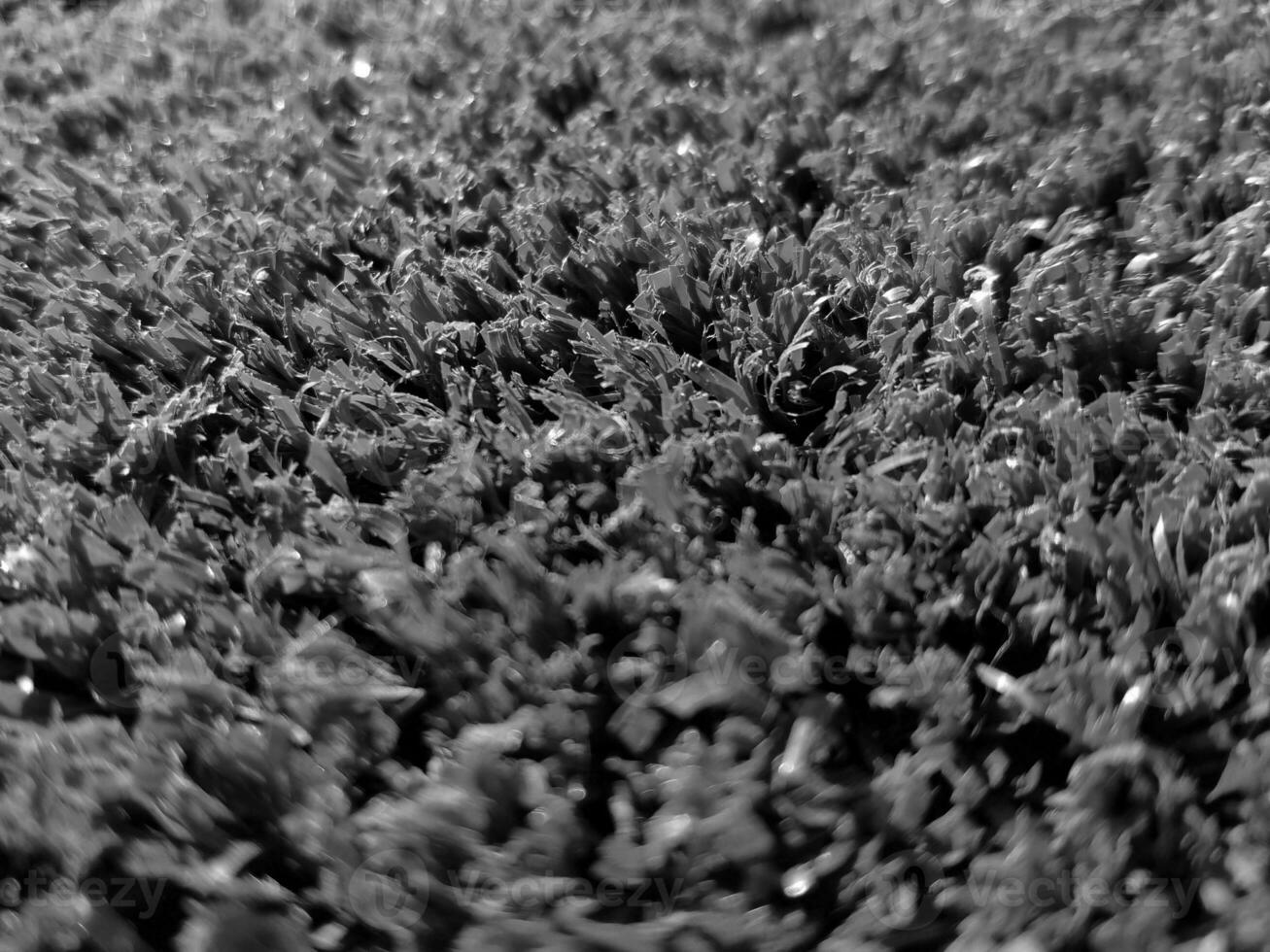 Black and white grass background close view, grayscale grass photo