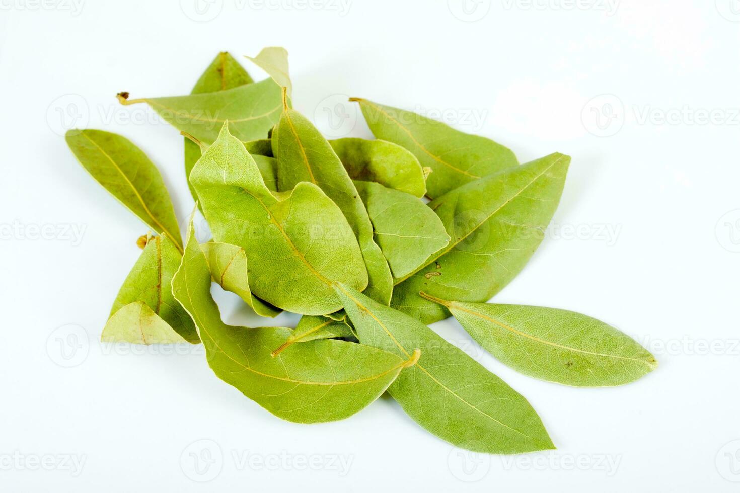 Laurel leaves isolated on white photo