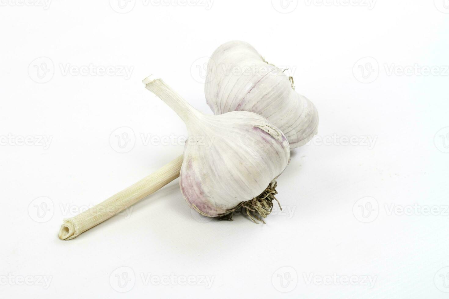 head of the garlic on white background photo