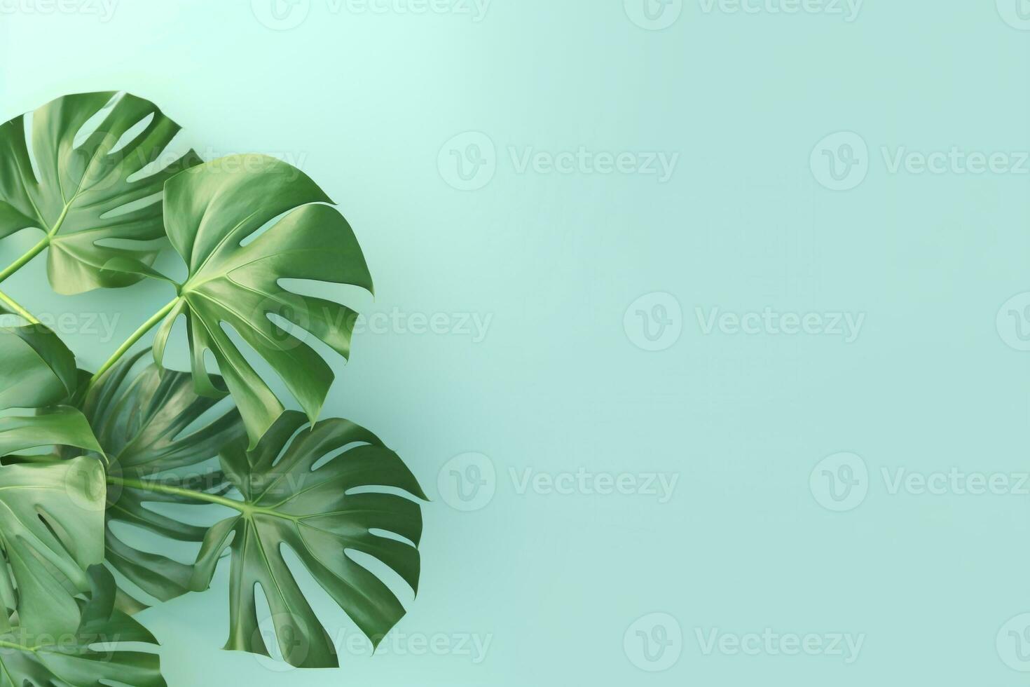 Green Foliage with copyspace, Lush Monstera Leaves on a Delicate Pastel Background. AI Generative photo