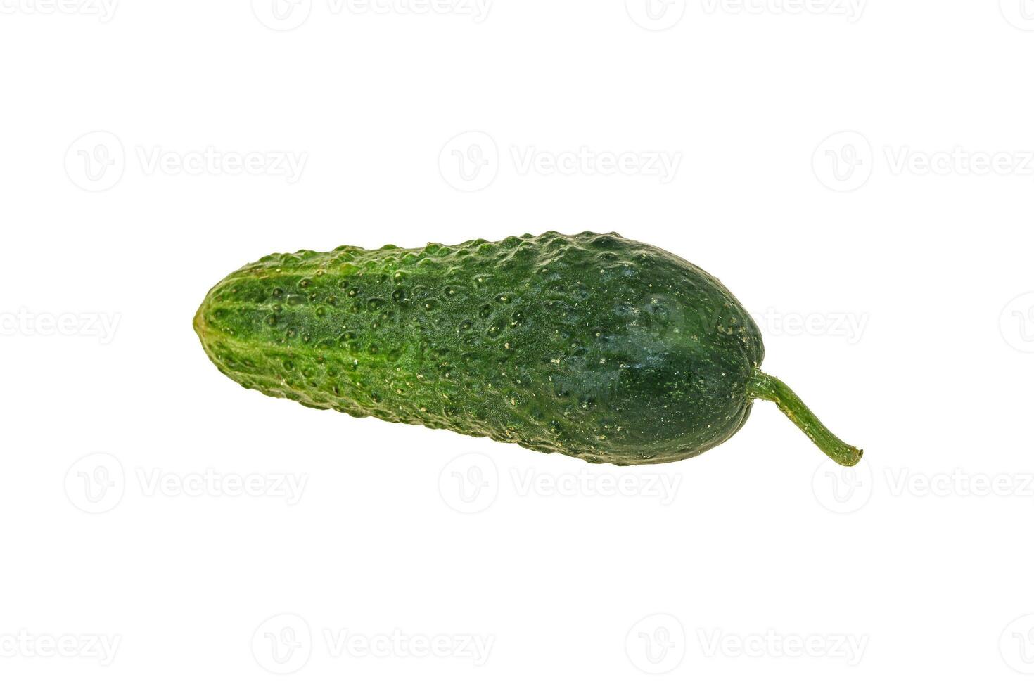 Green ripe fresh cucumber over background photo