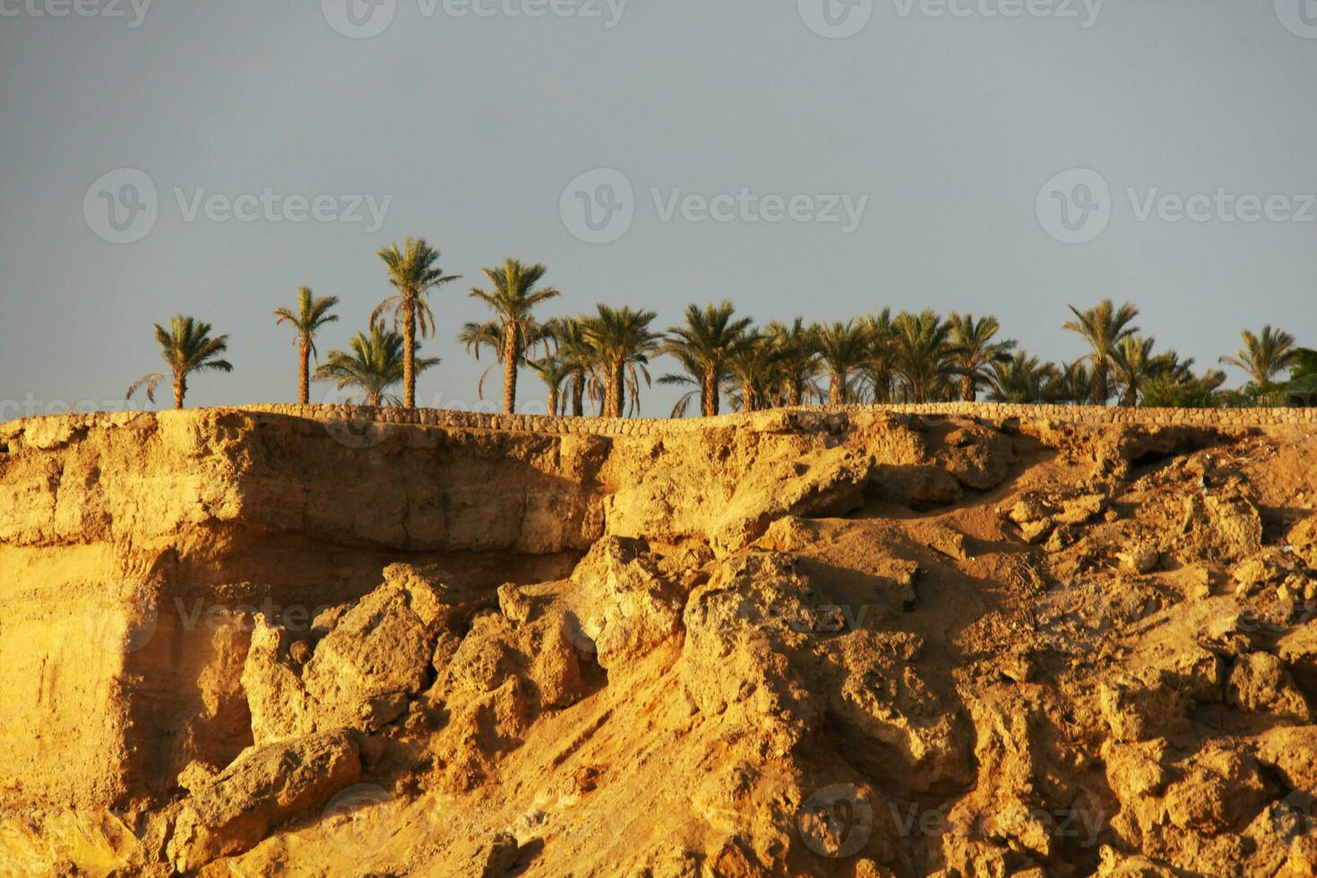 Holy ground Mount Sinai photo
