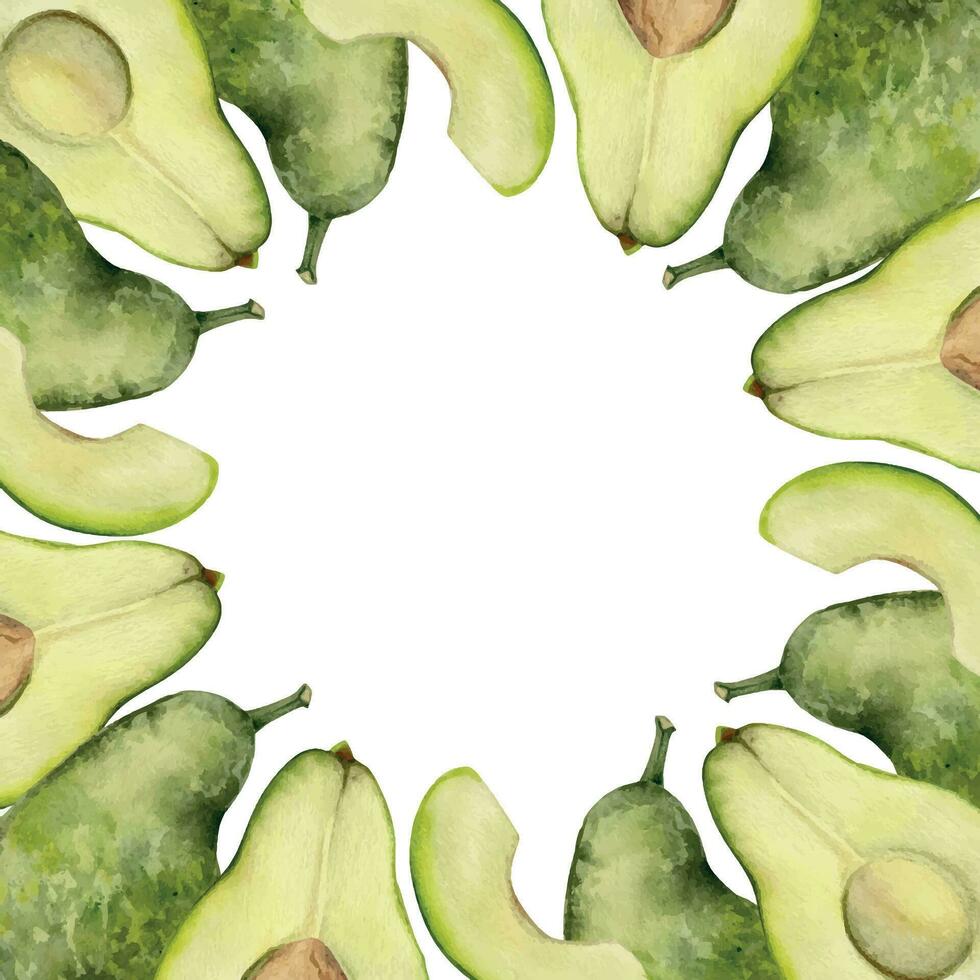 Hand drawn watercolor green avocado vegetable for diet and healthy lifestyle, vegan cooking. Illustration square border frame isolated on white background. Design poster, print, website, card, menu vector