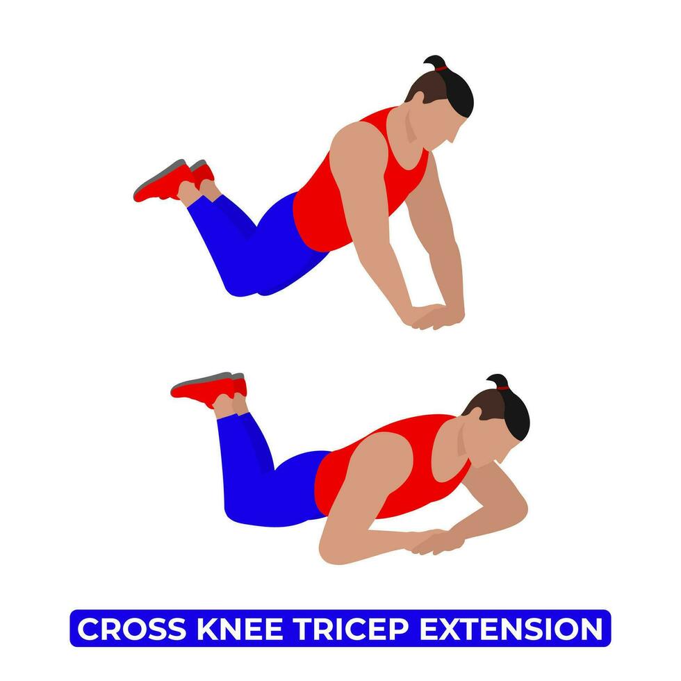 Vector Man Doing Cross Knee Tricep Extension. Bodyweight Fitness Arm Tricep Workout Exercise. An Educational Illustration On A White Background. 34070036 Vector Art at Vecteezy