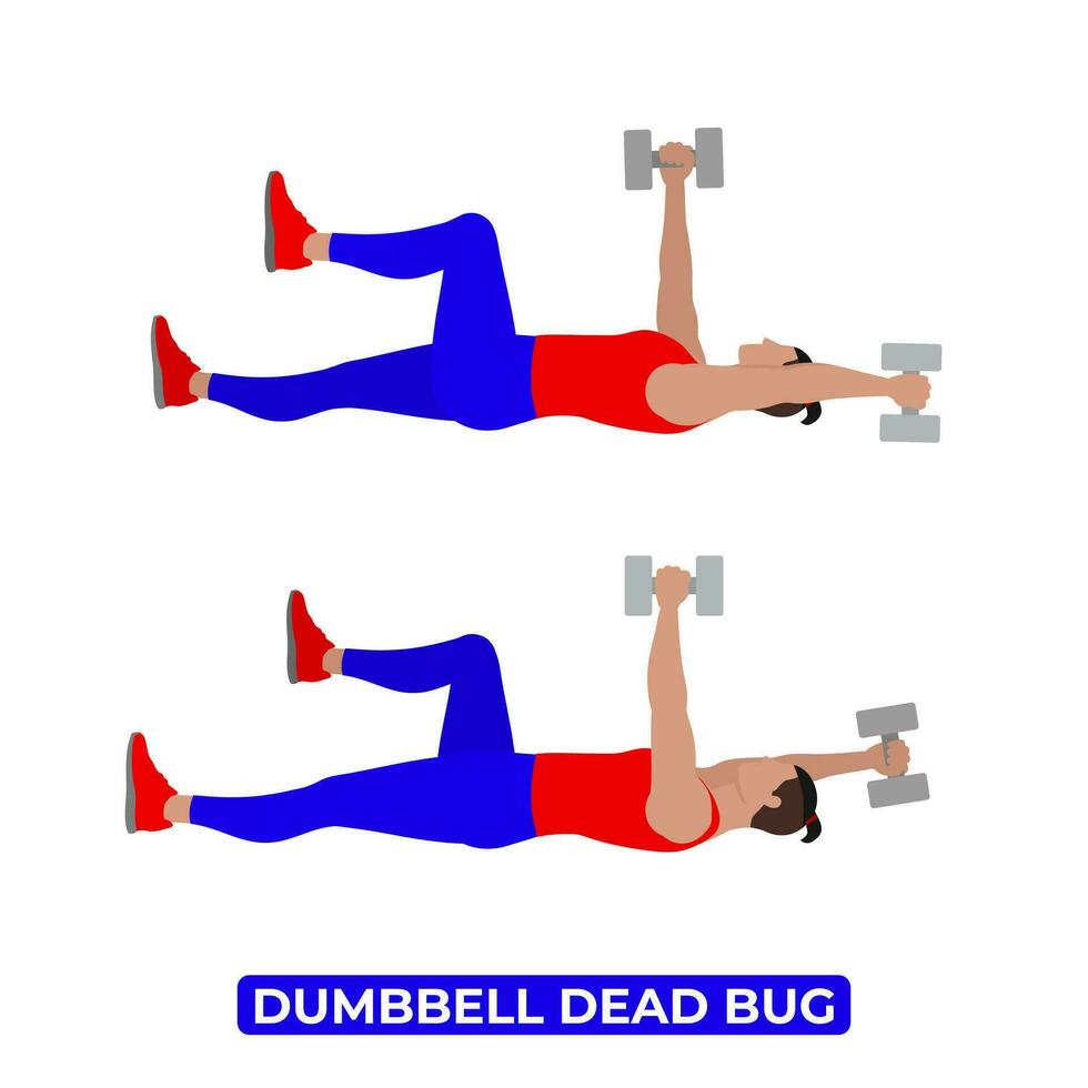Vector Man Doing Dumbbell Dead Bug. Bodyweight Fitness Core Workout Exercise. An Educational