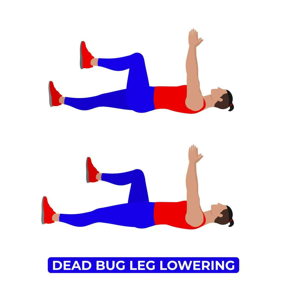 Vector Man Doing Dead Bug Leg Lowering. Bodyweight Fitness Core Workout Exercise. An Educational Illustration On A White Background.