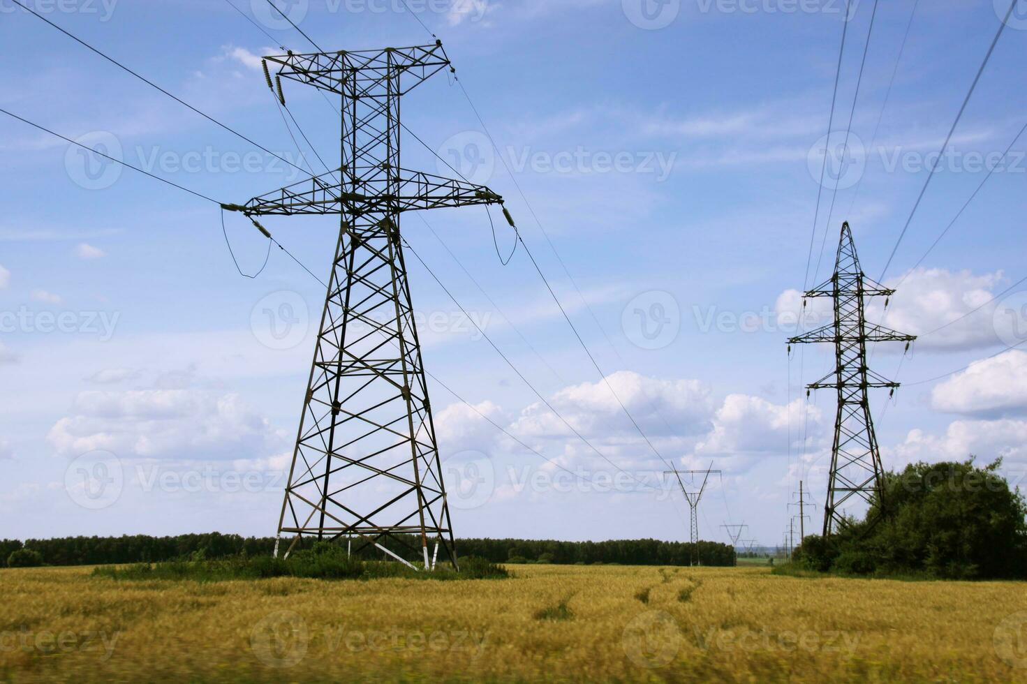 electric tower in the forest photo