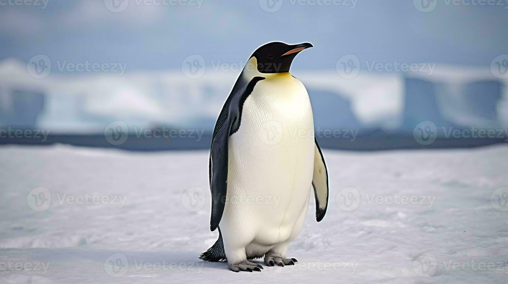 a penguin standing on snow AI Generated photo