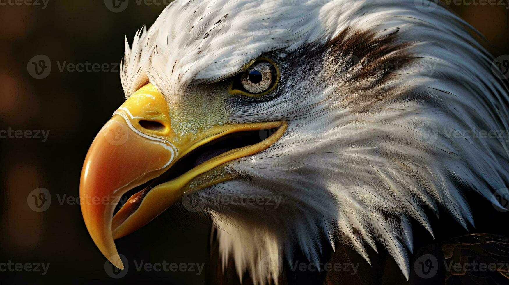 a close up of an eagle AI Generated photo