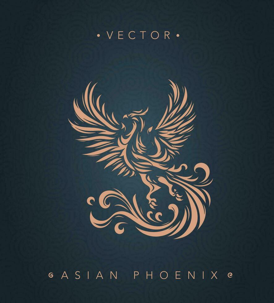 Asian traditional phoenix pattern Chinese phoenix vector