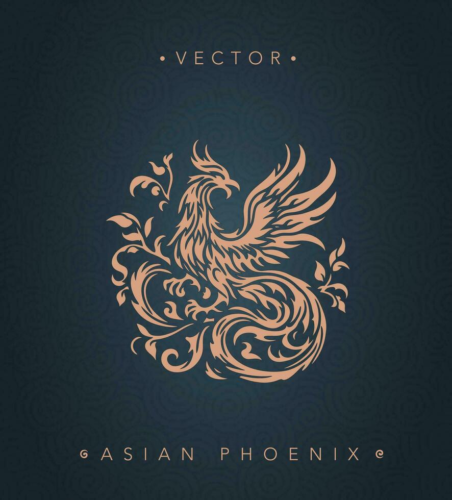 Asian traditional phoenix pattern Chinese phoenix vector