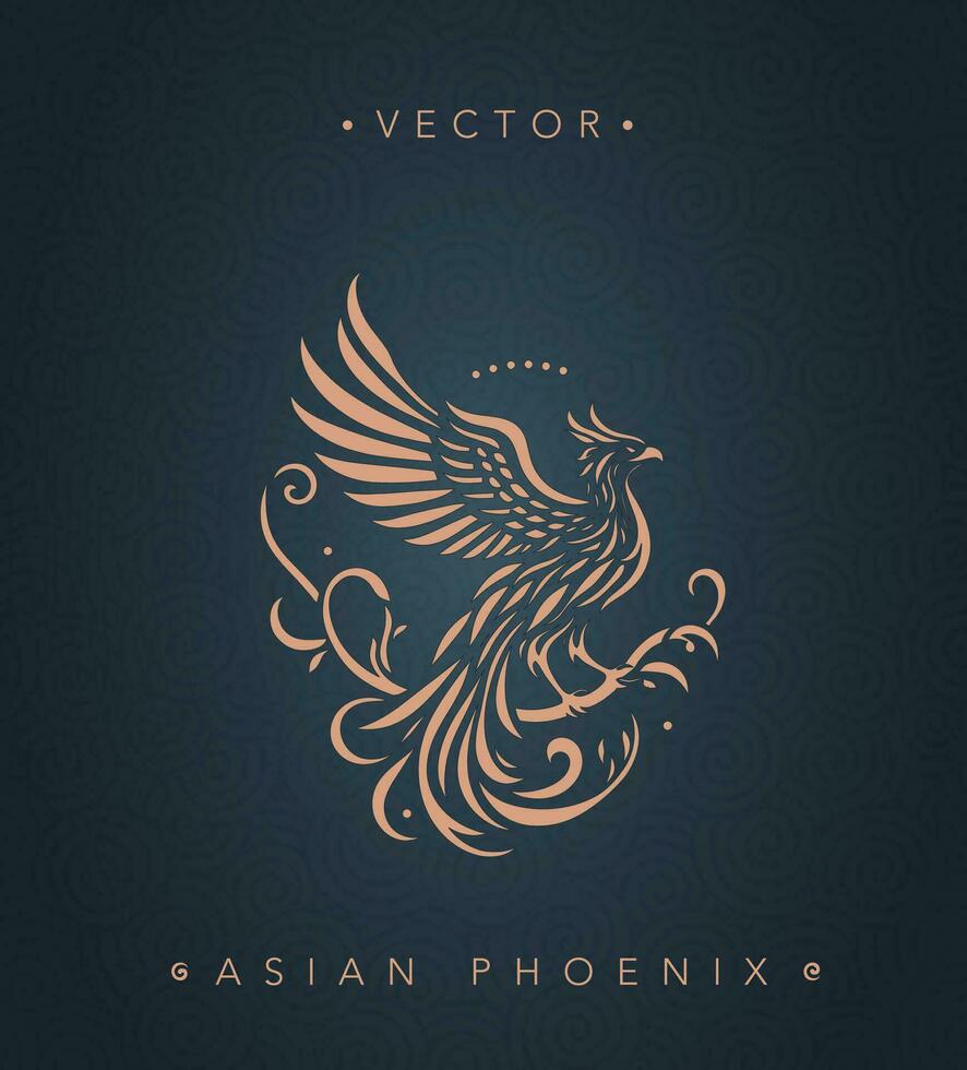 Asian traditional phoenix pattern Chinese phoenix vector