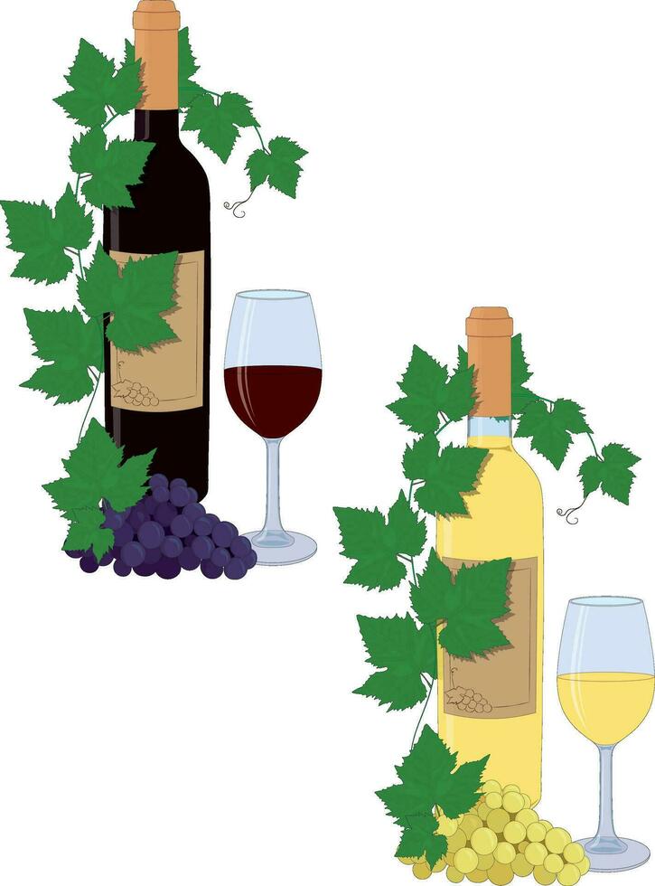 Red and white wine bottles and glasses compositions with grape vines and bunch of grapes vector illustration