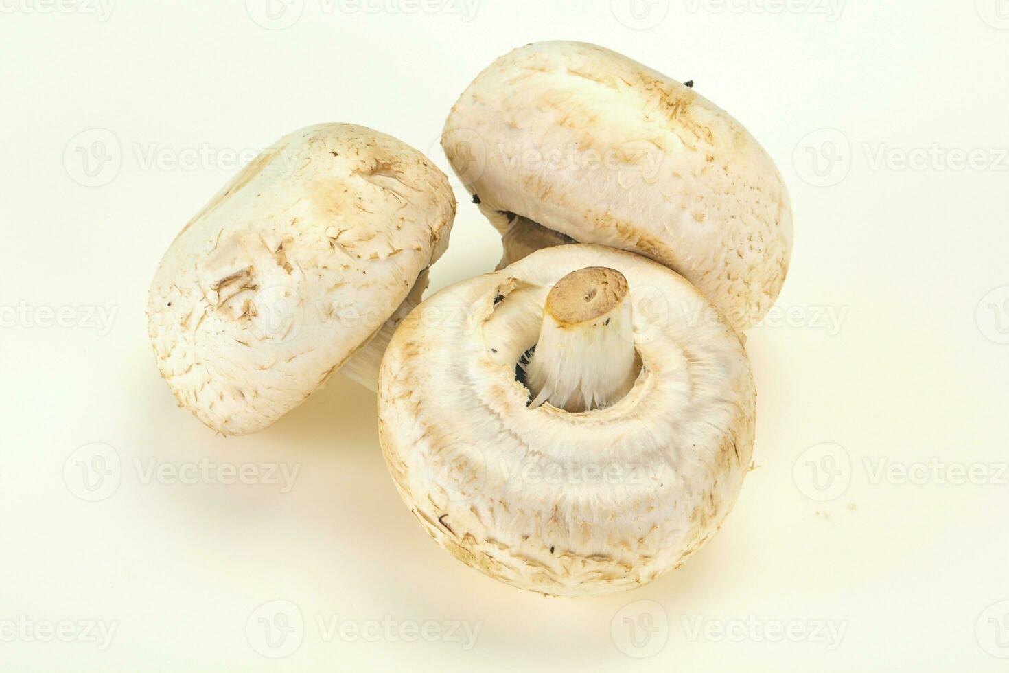 Raw Champignon heap for cooking photo